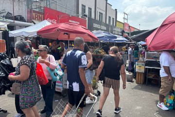 ¿Qué enfrentan los migrantes en Nuevo León? Acceso a servicios y violencia