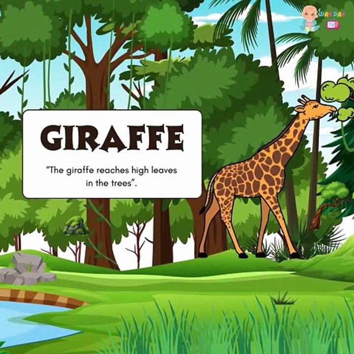 🦁 I Want to Learn About Animals! 🐘 | Animal Learning for Toddlers, Babies & Kids | Explore the Wild! |Education Videos | Preschool Learning |