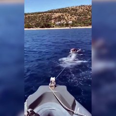 Sadettin Saran'ın yüzerek çektiği bot satışta!