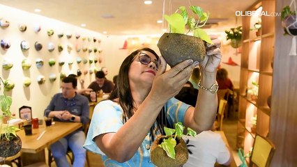 Paisagismo: conheça as tendências em Belém para o planejamento de espaços livres