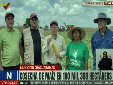 Guárico es ejemplo de siembra de maíz con una cosecha de 180 mil 308 hectáreas