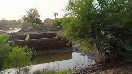 The situation after the flood in Alipur