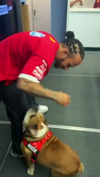 Préoccupé par l'état de santé de son chien hospitalisé, le septuple champion du monde de Formule 1, Lewis Hamilton, annule sa participation à la journée de tests Pirelli