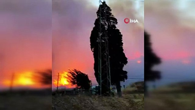 Bursa'da orman yangını...Rüzgarın etkisiyle büyüdü