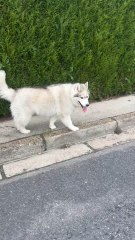 Ça c’est notre vision les amis 🐻‍❄️♥️