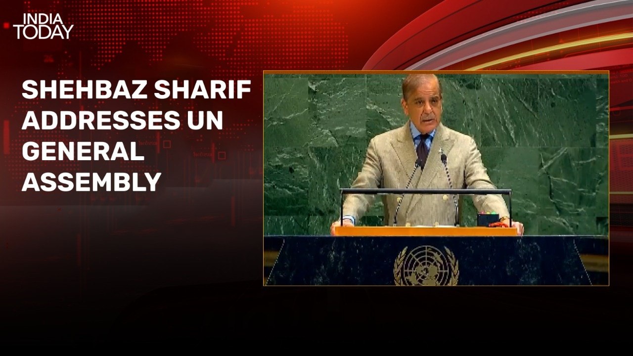 Shehbaz Sharif claims Pak downed 7 Indian jets during May conflict, Trump slaps 100% tariff on imported drugs