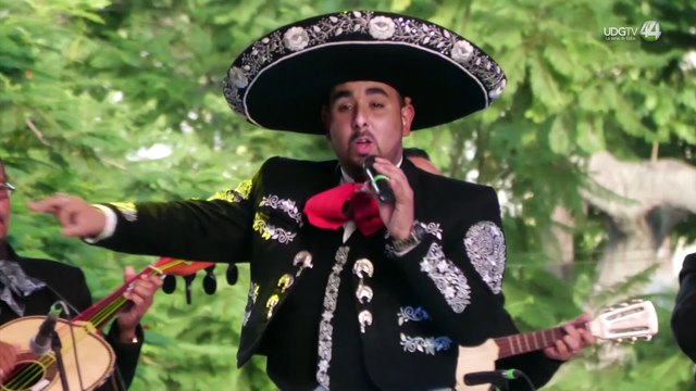 Más de 32 agrupaciones se reunirán en el Encuentro del Mariachi en Jalisco y otras entidades