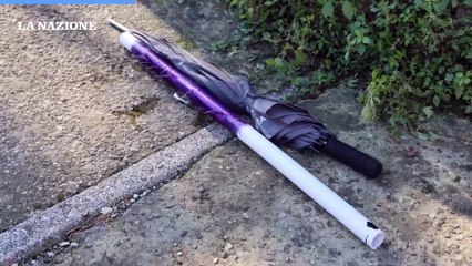 Derby Pisa-Fiorentina: Tafferugli tra tifosi, scontri in via Leopardi