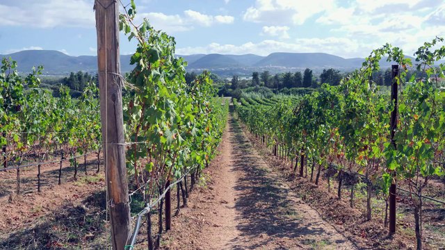 Cammino Minerario di Santa Barbara e Sentieri del Carignano viaggio senza tempo nel Sulcis