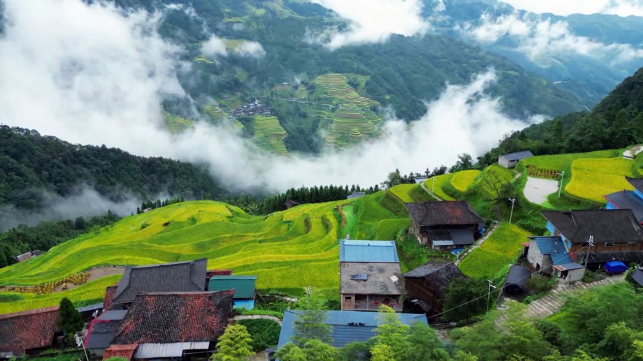 natural view