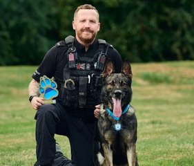 Watch the moment heroic police dog saves handler from shovel-wielding attacker