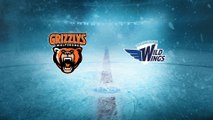Highlights von Grizzlys Wolfsburg - Schw. Wild Wings