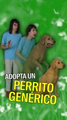 Adopta un perrito genérico