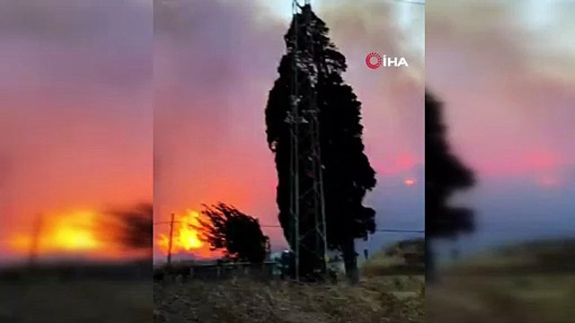 Bursa’da orman yangını...Rüzgarın etkisiyle büyüdü