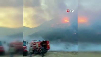 Karacabey’de orman yangını: Boğaz yolu çift yönlü trafiğe kapandı