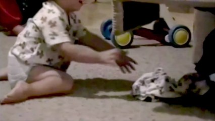 Infant Anthony Florian is Being Attacked Entirely by An The Dog • Full-Brightness