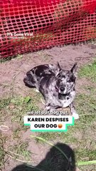 Karen tried to target my dog 😡