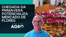 Setor de floricultura cresceu 10% em 2024 e segue em expansão | HORA H DO AGRO