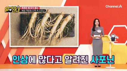 인삼 속에 있는 '사포닌'! 목 건조 예방과 면역력 향상에도 도움을 준다!