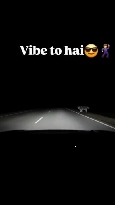 Dancing Dog on Hindi Beats 😂🐶 | Comedy Short | DesiVeDesiReels