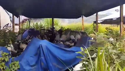 ext-Patrullas y motos de Tránsito se acumulan en centro de capacitación abandonado, denuncia sindicato-260925