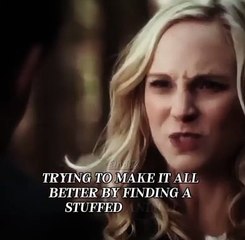 I love this Steroline Ship | TVD Edits