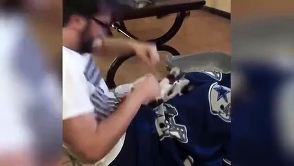Best Funny Animals Video 2025 Cute Dogs and Cats Making People Laugh