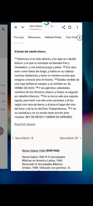 El principe de Dios con la espada desenvainada