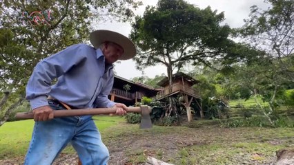 mqn-Cortar troncos a golpe de hacha: la tradición que hace único a Sitio de Mata-260925