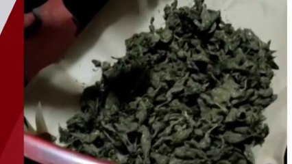 തിരുവനന്തപുരം നെടുമങ്ങാട് കഞ്ചാവുമായി യുവാവ് അറസ്റ്റിൽ...