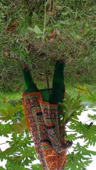 জীবনটা তখনি সুন্দর ছিলো