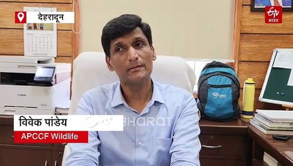 अमानतगढ़ मामले के बाद अलर्ट पर कॉर्बेट, सुरक्षा के लिए हो रहे विशेष प्रयास, जानिये तैयारियां