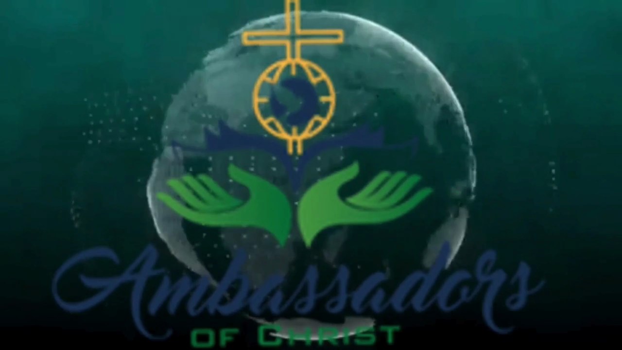 We Are Ambassadors