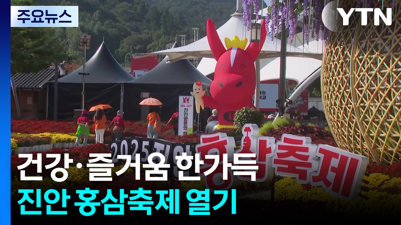 진안에서 즐기는 가을 건강 축제...홍삼의 향연 / YTN