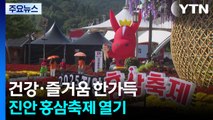 진안에서 즐기는 가을 건강 축제...홍삼의 향연 / YTN