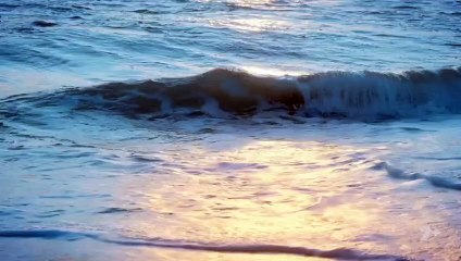 Home And Away – Episode 8587 (September 25, 2025)