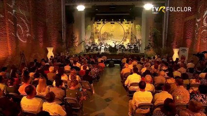 Vasile Raul Balogh - Trofeul Festivalului National „Strugurele de aur” - Blaj - TVR Folclor - 05.09.2025