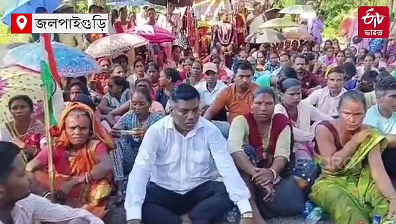 সরকারি নির্দেশ সত্ত্বেও অনড় মালিকপক্ষ! বোনাসের দাবিতে বিক্ষোভ চা-শ্রমিকদের