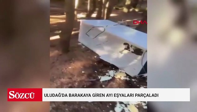 Uludağ'da barakaya giren ayı eşyaları parçaladı