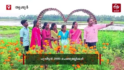 മഴ ചതിച്ചതല്ല ആശാനെ! അന്നിത് നാട്ടുകാരുടെ കുപ്പത്തൊട്ടി, ഇന്ന് പൂത്തുലഞ്ഞ് സുഗന്ധപൂരിതം ഈ വഴിയോരം