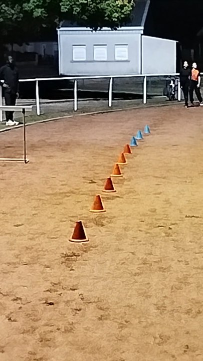 Entrainement haie