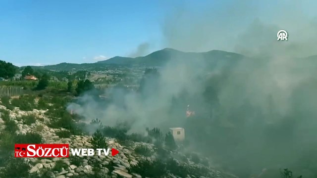 Bursa'da ormanlık alanda çıkan yangına müdahale ediliyor