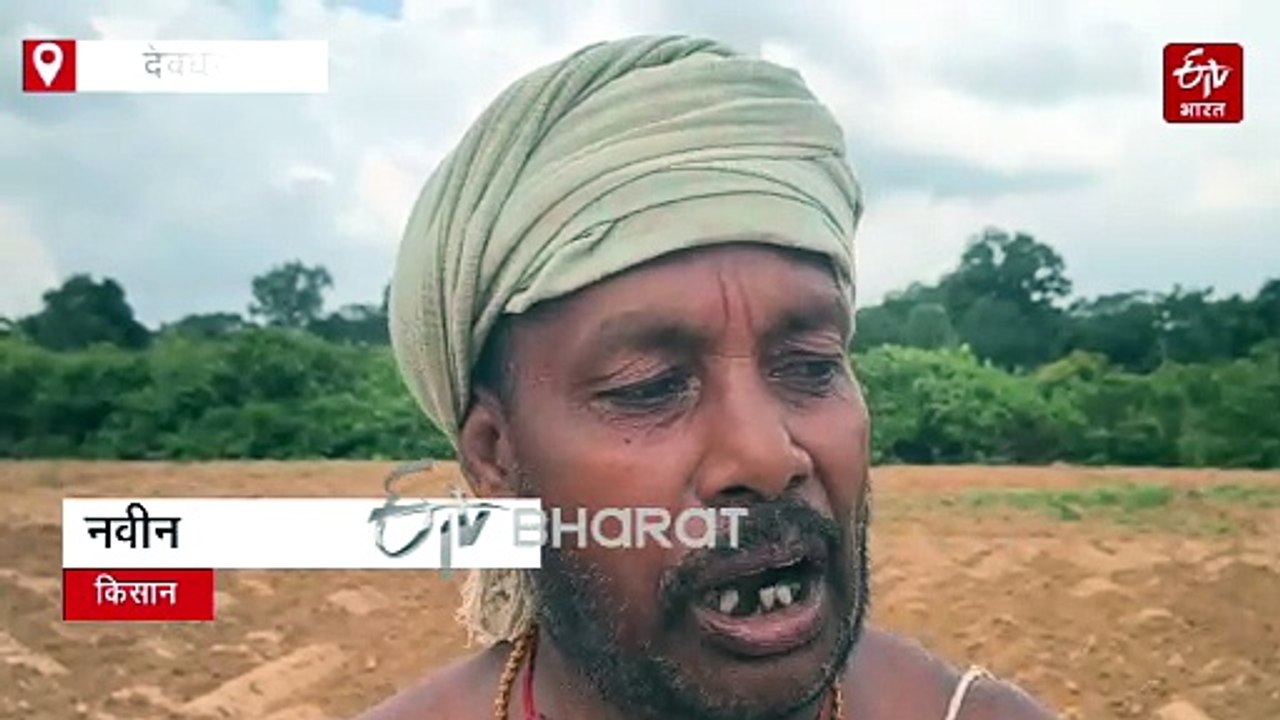 देवघर के किसान बेहाल: पहले बारिश ने तोड़ी कमर, अब जंगली जानवरों ने छीना अरमान, खेतों में लहलहाती फसल बनी चारा