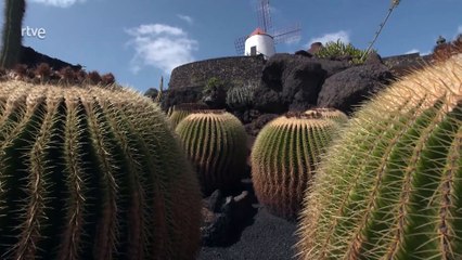 Islas Canarias: Descubre Fuerteventura y Lanzarote Como Nunca Antes