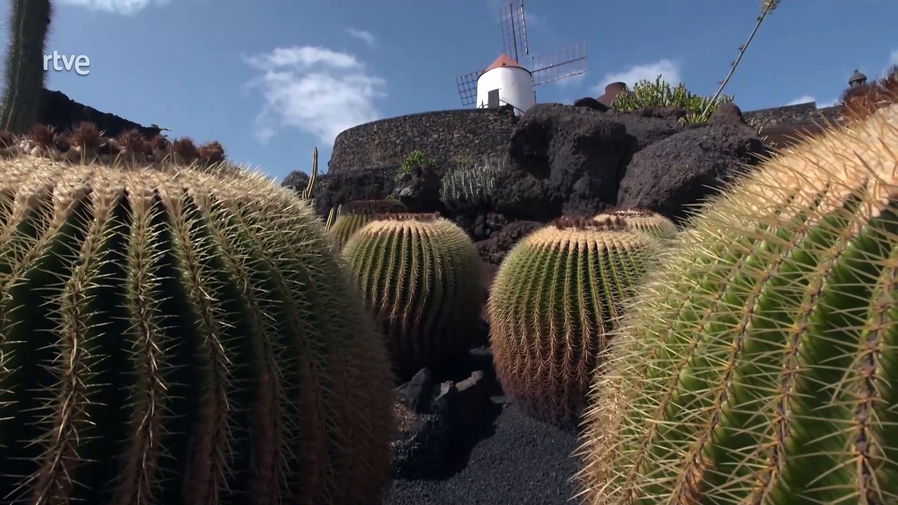 Islas Canarias: Descubre Fuerteventura y Lanzarote Como Nunca Antes