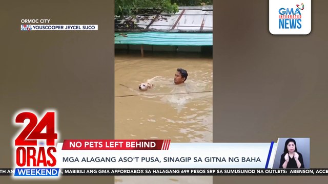 Mga alagang aso't pusa, sinagip sa gitna ng baha | 24 Oras Weekend