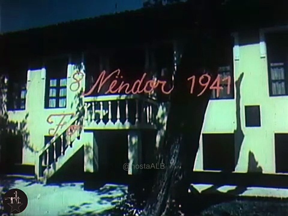 Nëpër ditarët e luftës (1983)