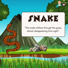 🐵 Learn About Jungle Animals 🌳 | Animal Learning Video for Toddlers & Kids | Fun & Educational Safari Trip! 🎒