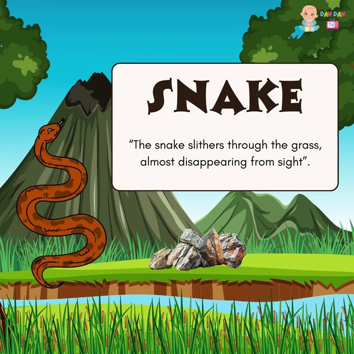 🐵 Learn About Jungle Animals 🌳 | Animal Learning Video for Toddlers & Kids | Fun & Educational Safari Trip! 🎒