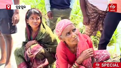 ମାର୍ଗଦର୍ଶୀ ସାଜିଲେ ଗାଁ ଝିଅ ଭାରତୀ; ମାଟି କଙ୍କଡା ପାଳି ଚାଷୀଙ୍କୁ ଦେଖାଇଲେ ରୋଜଗାରର ନୂଆ ରାହା